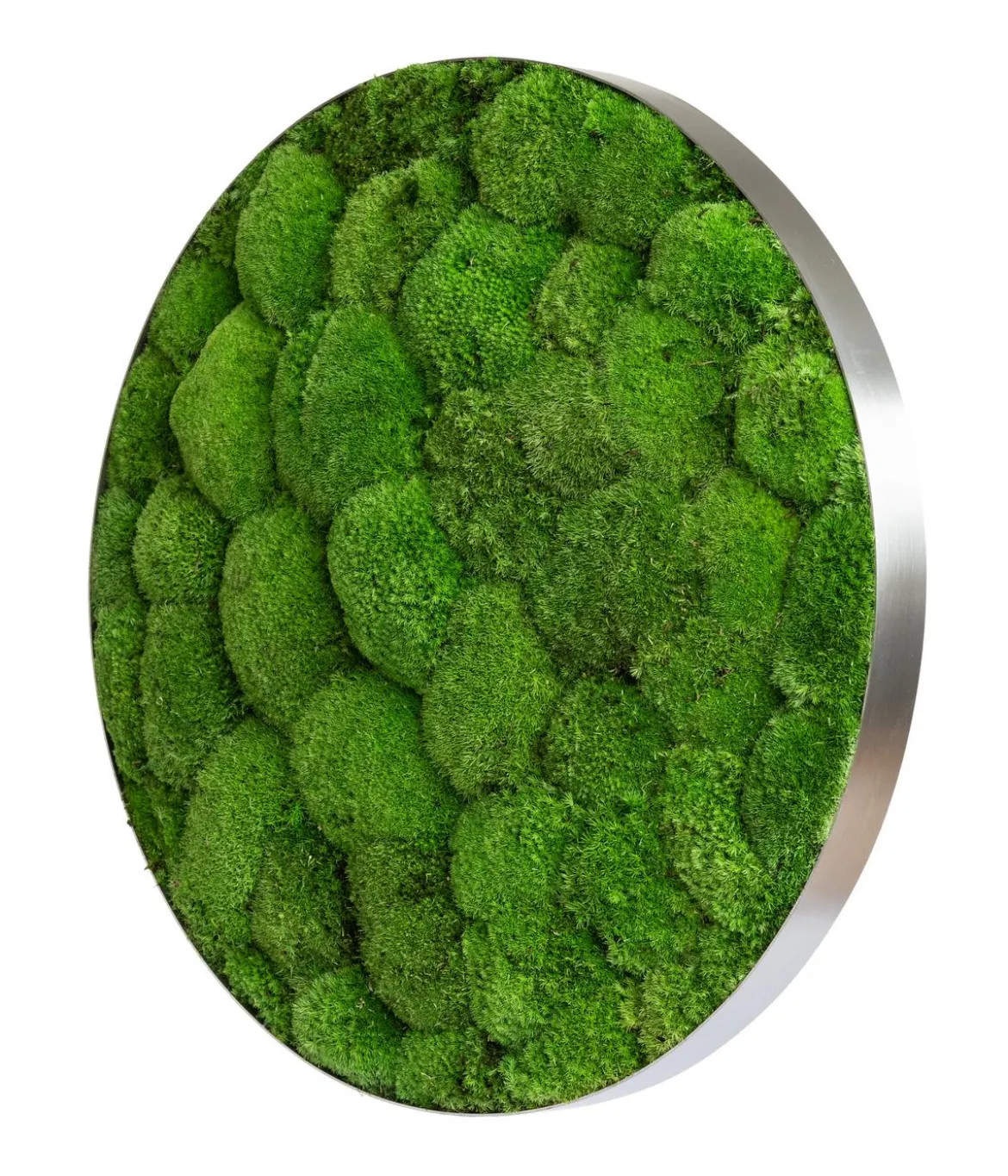 styleGREEN Bild aus Kugelmoos, Ellipsoid, ca. Ø54 cm