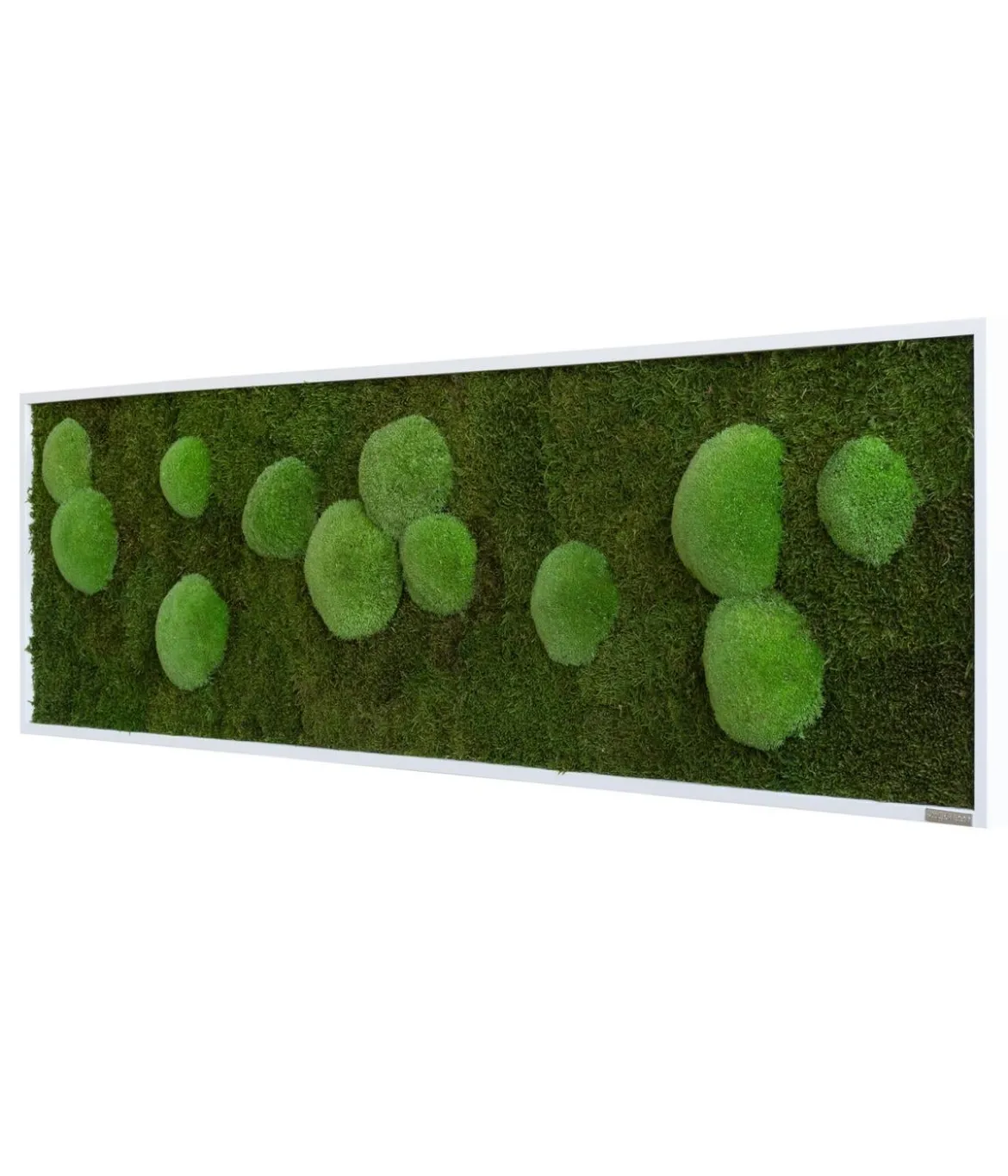 styleGREEN Bild aus Wald- und Kugelmoos, rechteckig, ca. B140/H40/T6 cm