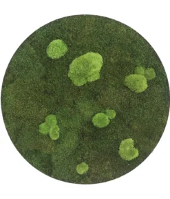 styleGREEN Bild aus Wald- und Kugelmoos, kreisförmig, ca. Ø54 cm