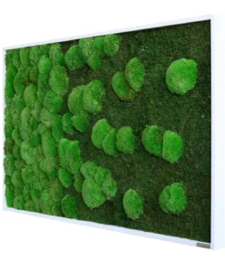 styleGREEN Bild aus Wald- und Kugelmoos im Verlauf, ca. B100/H60/T7 cm