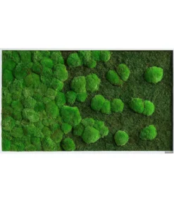 styleGREEN Bild aus Wald- und Kugelmoos im Verlauf, ca. B100/H60/T7 cm