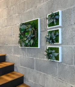styleGREEN Bild aus Wald- und Kugelmoos, quadratisch, ca. B55/H55/T17 cm