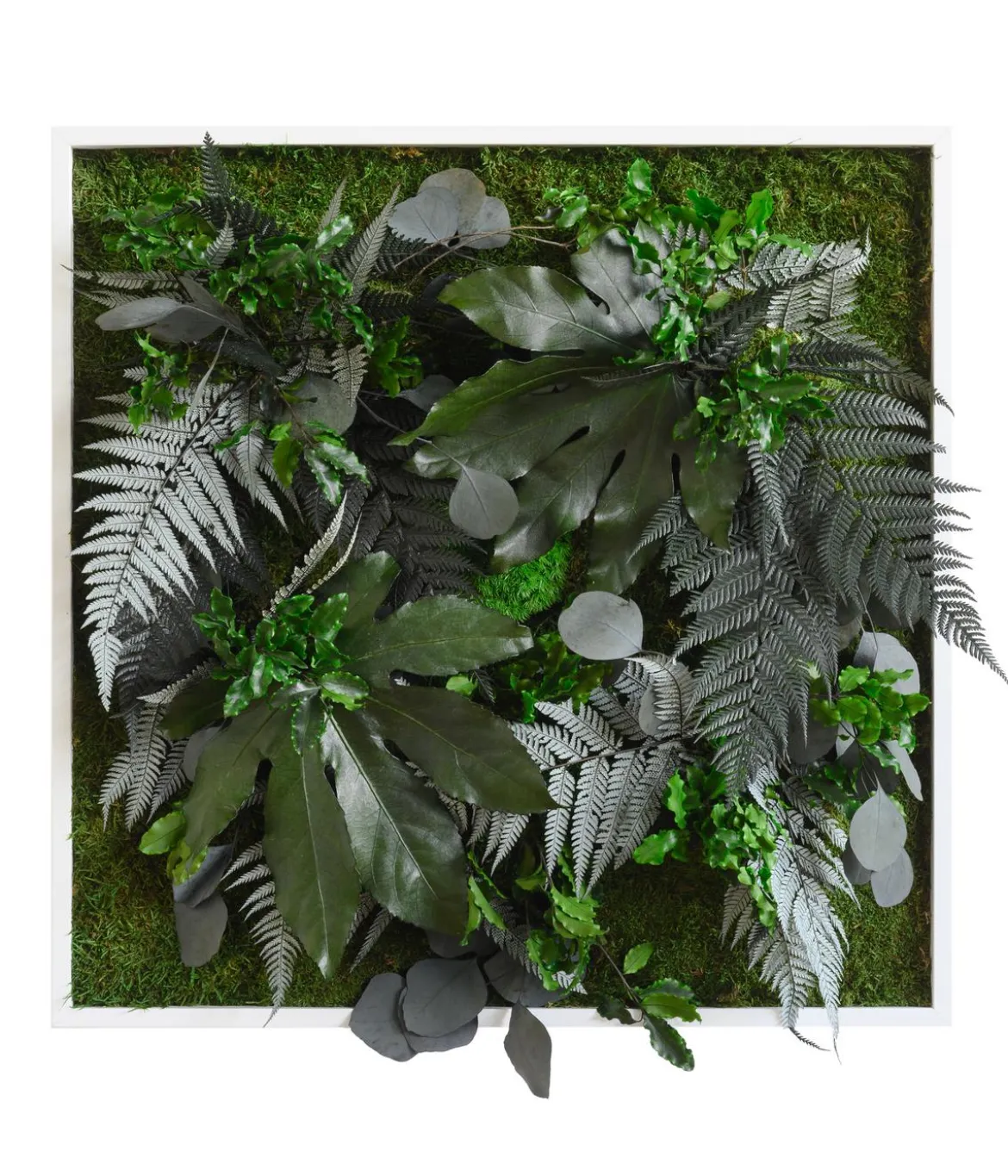styleGREEN Bild aus Wald- und Kugelmoos, quadratisch, ca. B55/H55/T17 cm