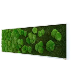 styleGREEN Bild aus Wald- und Kugelmoos im Verlauf, ca. B140/H40/T7 cm