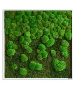 styleGREEN Bild aus Wald- und Kugelmoos im Verlauf, ca. B80/H80/T7 cm