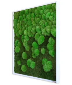 styleGREEN Bild aus Wald- und Kugelmoos im Verlauf, ca. B80/H80/T7 cm