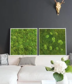 styleGREEN Bild aus Wald- und Kugelmoos, quadratisch, ca. B80/H80/T7 cm