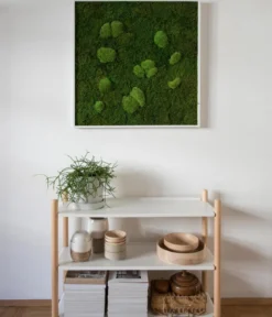styleGREEN Bild aus Wald- und Kugelmoos, quadratisch, ca. B80/H80/T7 cm