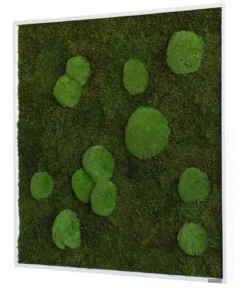 styleGREEN Bild aus Wald- und Kugelmoos, quadratisch, ca. B80/H80/T7 cm