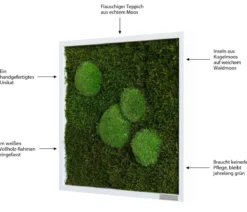 styleGREEN Bild aus Wald- und Kugelmoos, quadratisch, ca. B35/H35/T6 cm