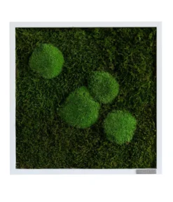 styleGREEN Bild aus Wald- und Kugelmoos, quadratisch, ca. B35/H35/T6 cm