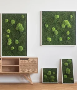 styleGREEN Bild aus Wald- und Kugelmoos, quadratisch, ca. B35/H35/T6 cm