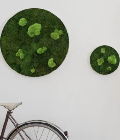 styleGREEN Bild aus Wald- und Kugelmoos, kreisförmig, ca. Ø80 cm