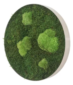 styleGREEN Bild aus Wald- und Kugelmoos, kreisförmig, ca. Ø34 cm