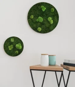 styleGREEN Bild aus Wald- und Kugelmoos, kreisförmig, ca. Ø34 cm