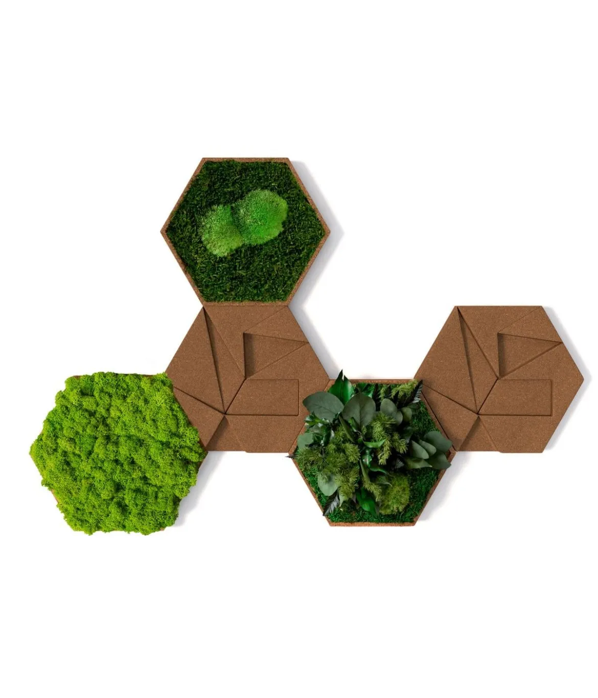 styleGREEN Bilder-Set aus Moos und Kork, Hexagon, 5-teilig