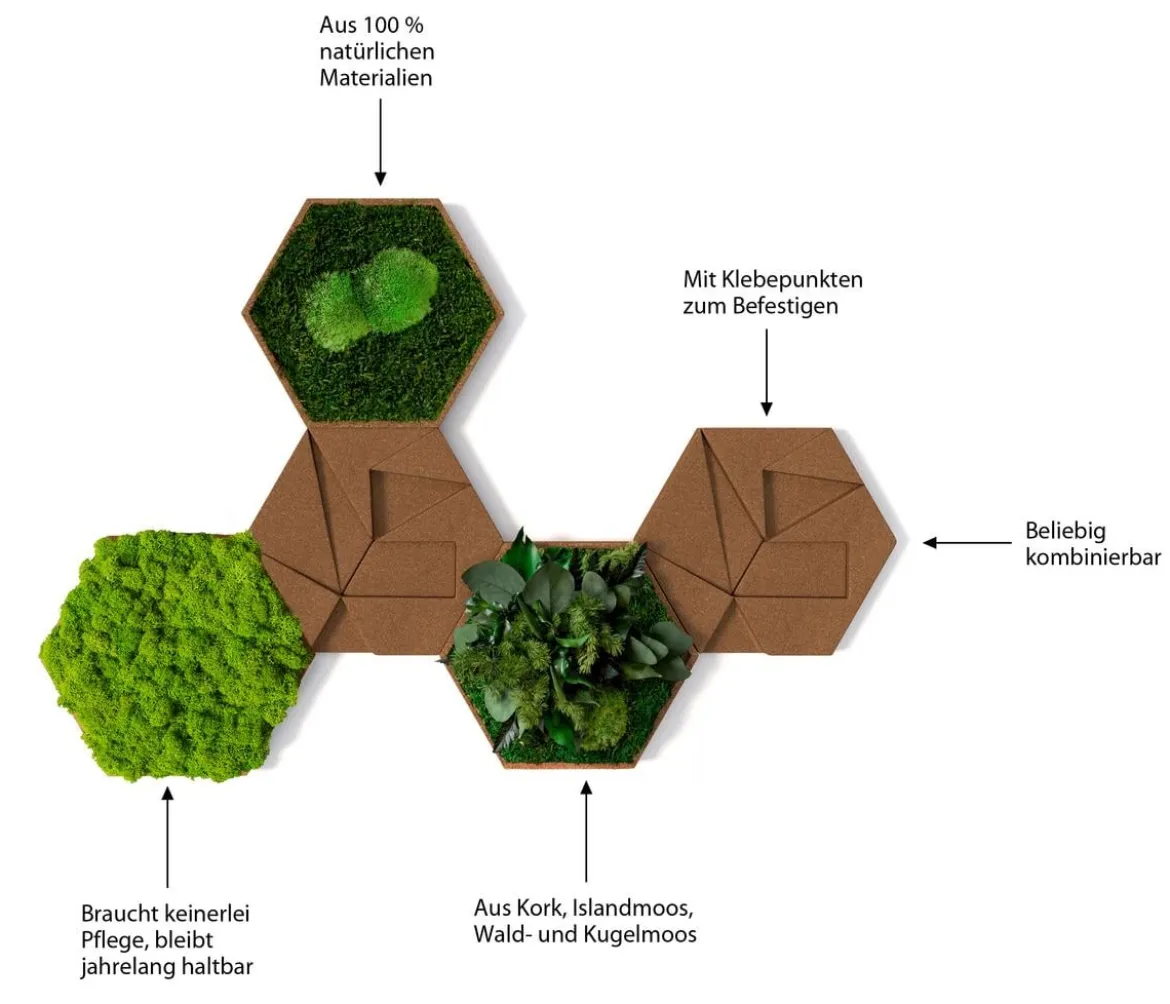 styleGREEN Bilder-Set aus Moos und Kork, Hexagon, 5-teilig