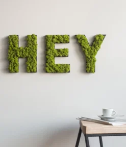 styleGREEN Buchstaben aus Islandmoos, ca. H25 cm