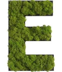 styleGREEN Buchstaben aus Islandmoos, ca. H25 cm