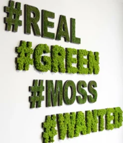 styleGREEN Sonderzeichen 'Hashtag' aus Islandmoos, ca. B20/H25/T3,5 cm