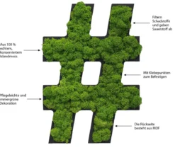 styleGREEN Sonderzeichen 'Hashtag' aus Islandmoos, ca. B20/H25/T3,5 cm
