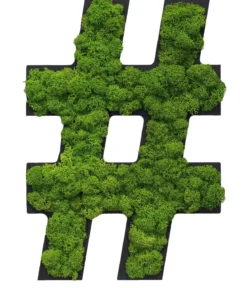 styleGREEN Sonderzeichen 'Hashtag' aus Islandmoos, ca. B20/H25/T3,5 cm