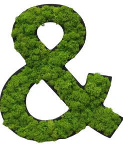 styleGREEN Sonderzeichen 'Und' aus Islandmoos, ca. B20/H25/T3,5 cm