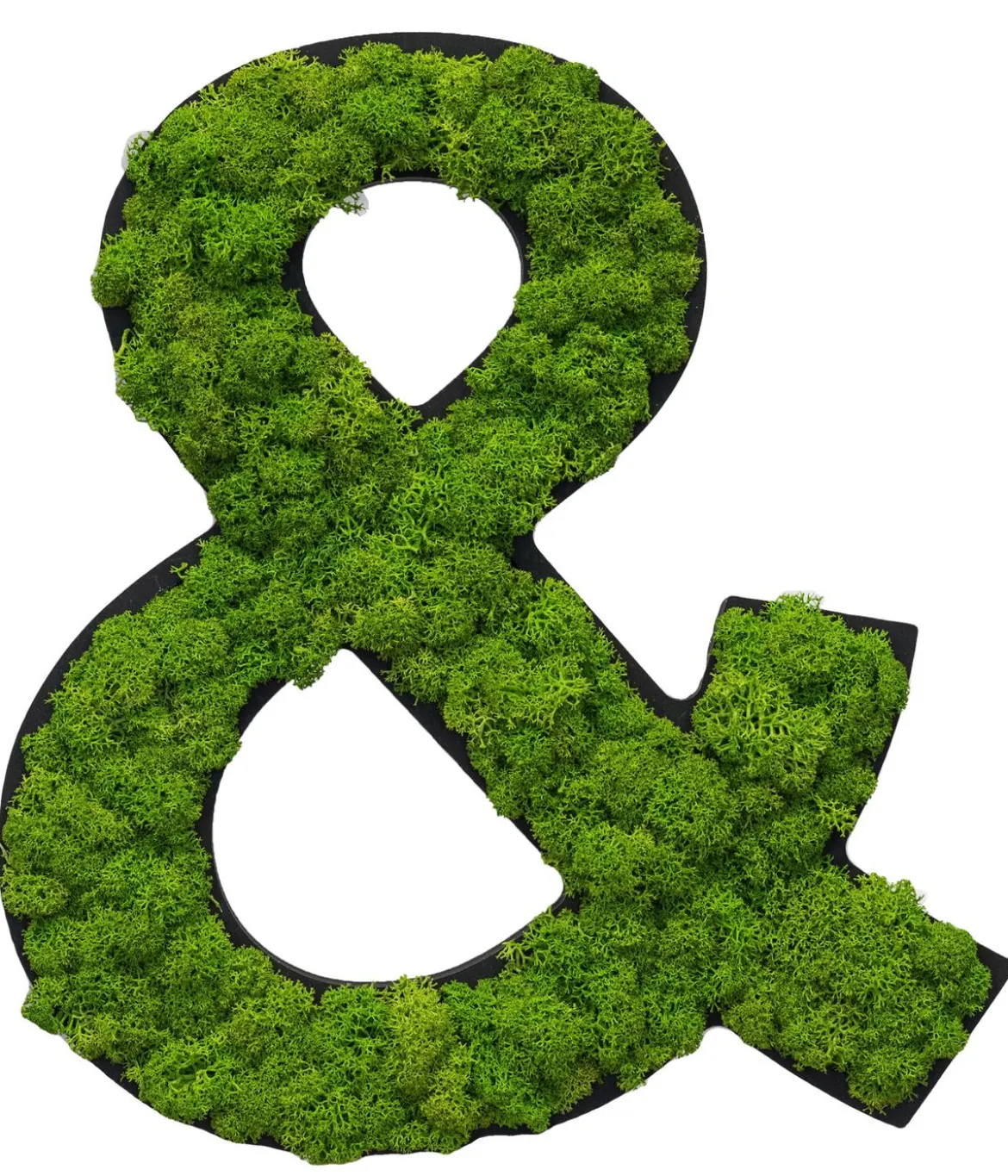 styleGREEN Sonderzeichen 'Und' aus Islandmoos, ca. B20/H25/T3,5 cm