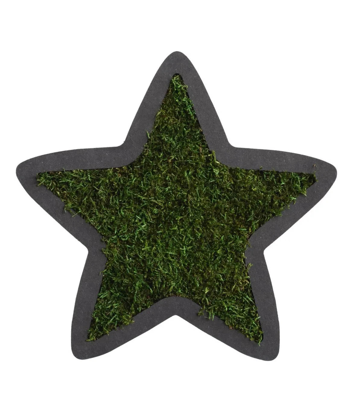 styleGREEN Stern aus Waldmoos, ca. B26/H26/T2 cm