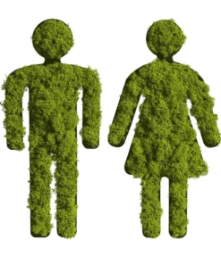 styleGREEN Toiletten-Set aus Islandmoos, ca. H24 cm, 2-teilig