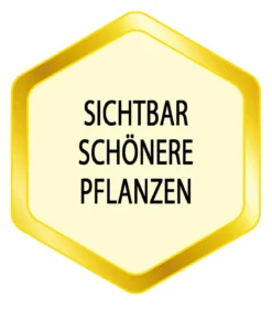 Substral® Balkon- und Kübelpflanzen-Nahrung, flüssig, 1,3 l