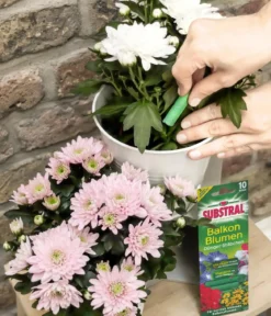 Substral® Dünger-Stäbchen für Balkonblumen, 10 Stk.