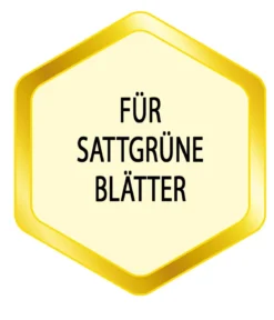Substral® Eisendünger, flüssig, 250 ml