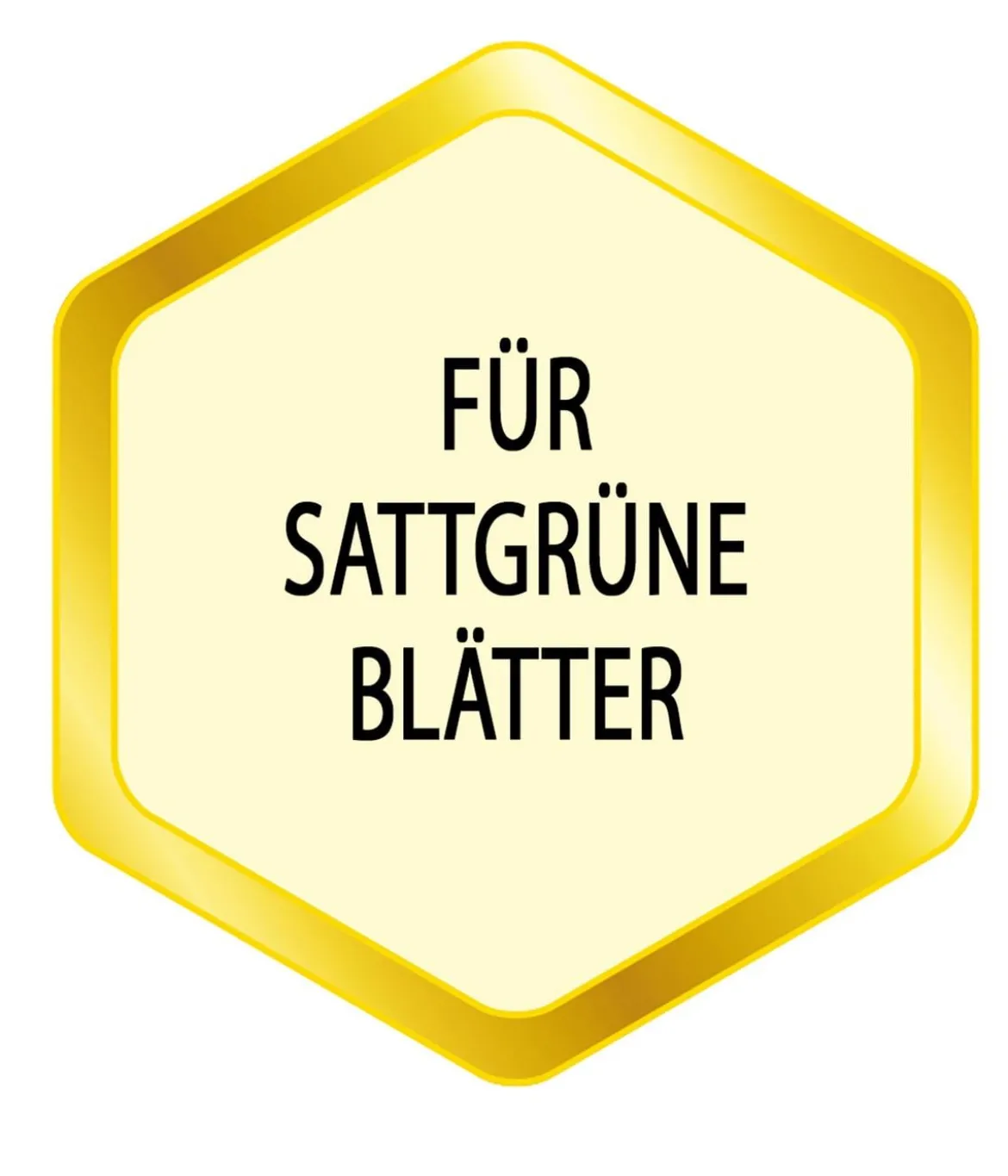 Substral® Eisendünger, flüssig, 250 ml