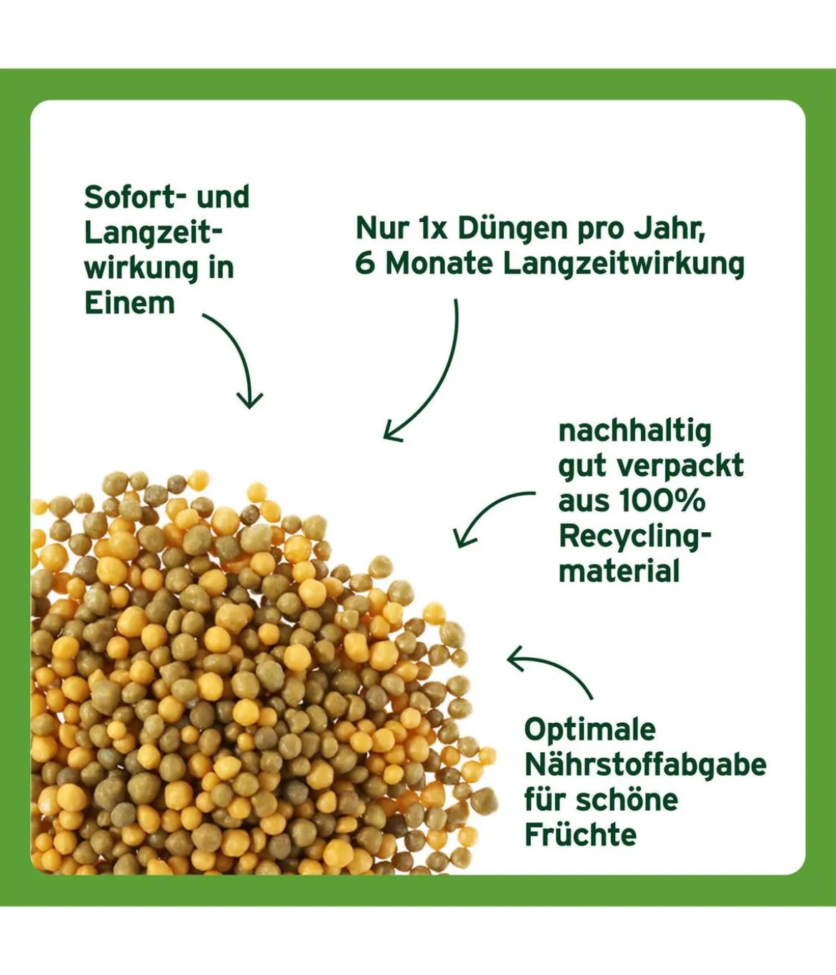 Substral® Langzeit Depotdünger für Zitrus- & mediterrane Pflanzen, 750 g
