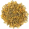 Substral® Langzeit Depotdünger Balkonblumen