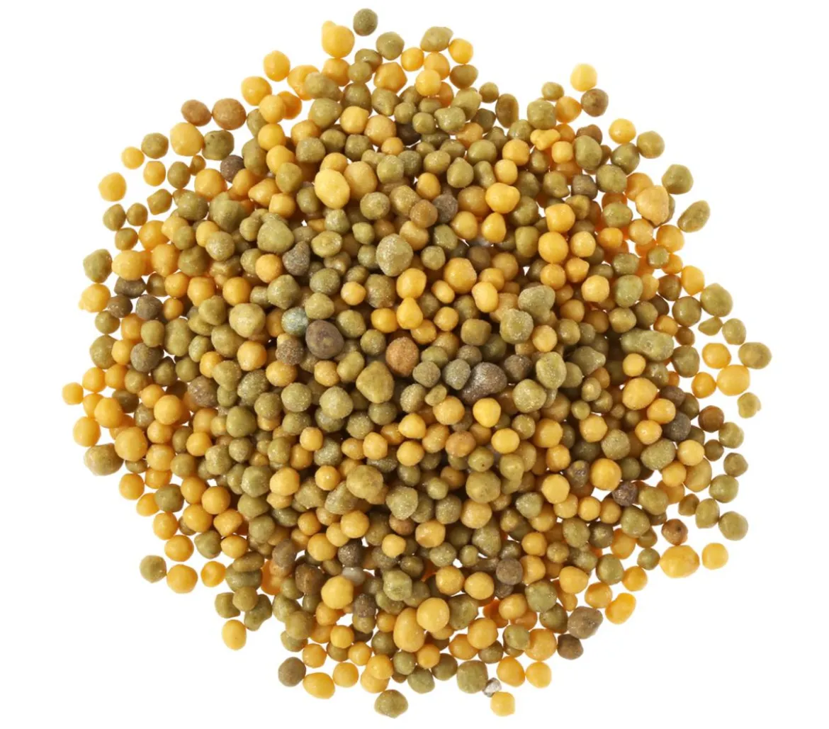Substral® Langzeit Depotdünger Balkonblumen