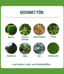 Substral® Langzeit Depotdünger Buchs & Hecken, 1,5 kg