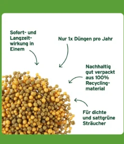 Substral® Langzeit Depotdünger Buchs & Hecken, 1,5 kg