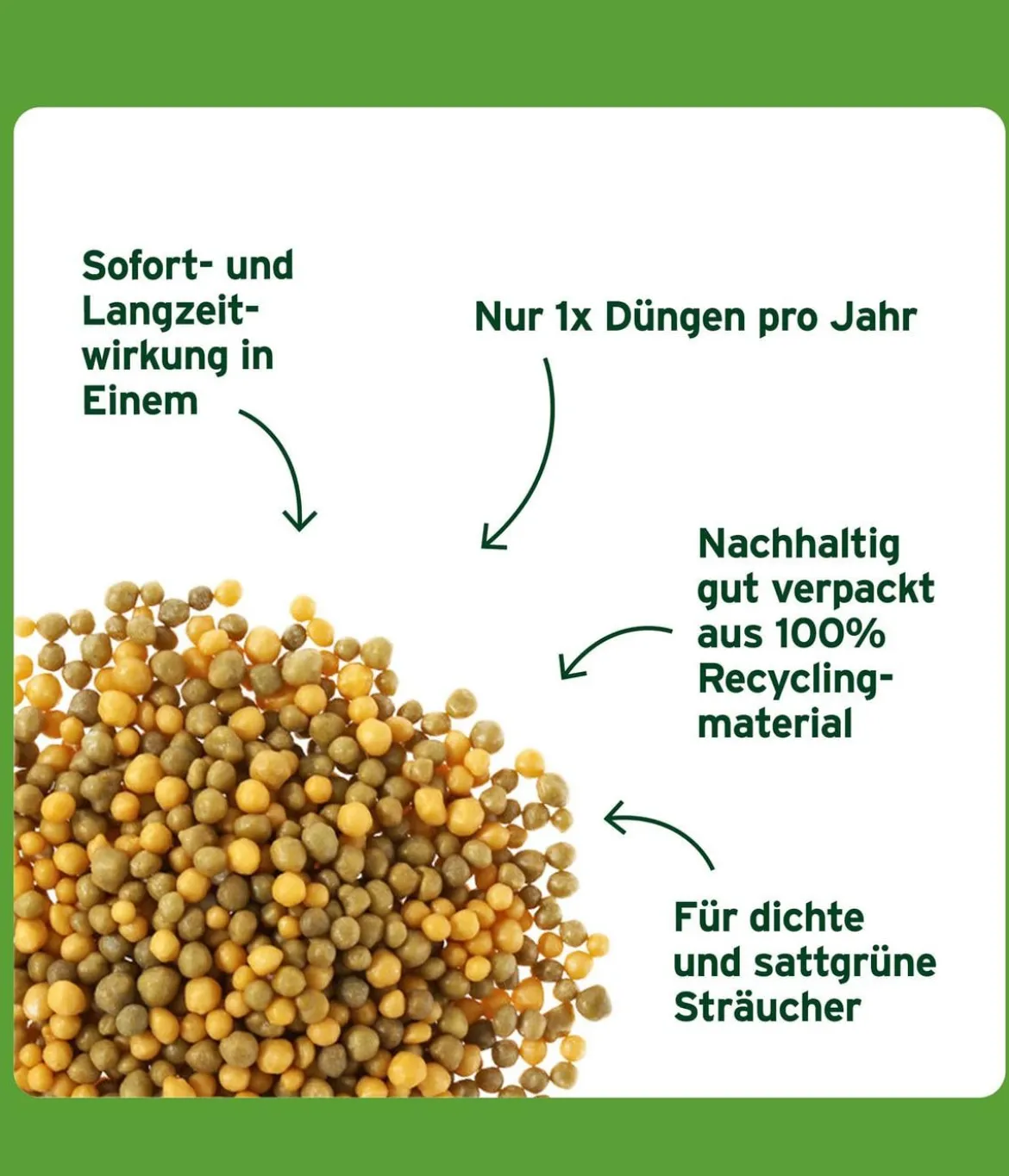 Substral® Langzeit Depotdünger Buchs & Hecken, 1,5 kg