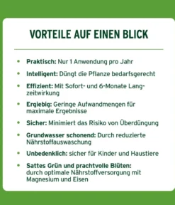 Substral® Langzeit Depotdünger Buchs & Hecken, 1,5 kg