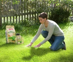 Substral® Magisches Rasen-Pflaster