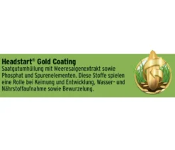 Substral® Magisches Rasen-Pflaster