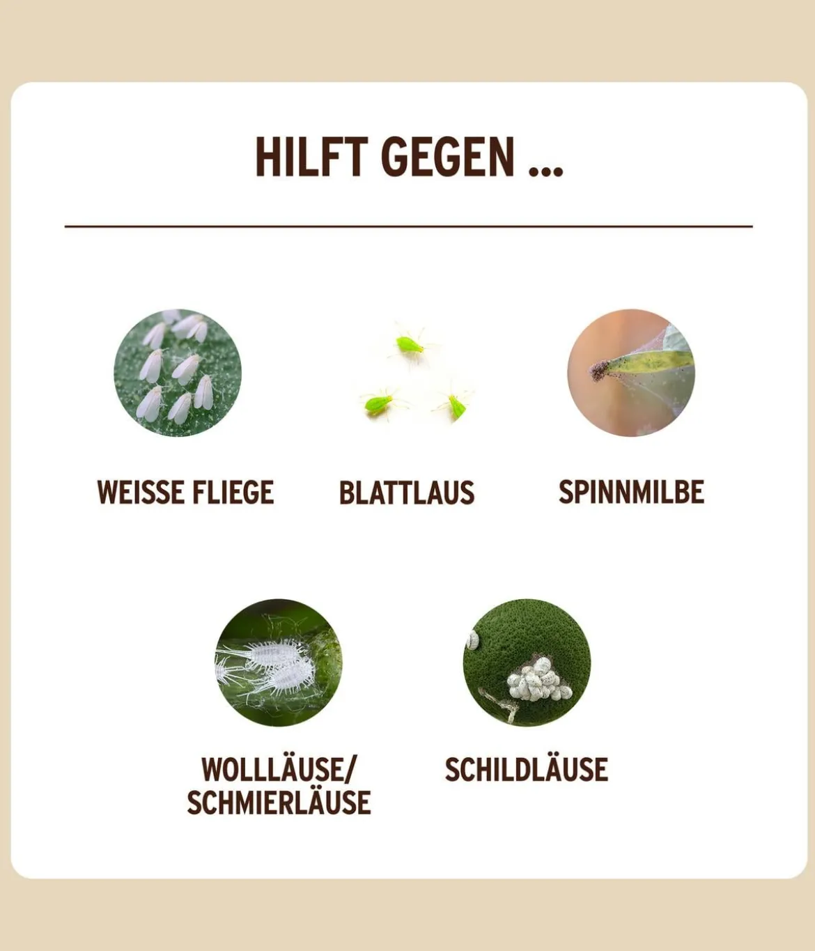 Substral® Naturen® Bio Schädlingsfrei Obst & Gemüse, 750 ml