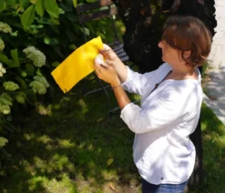 Substral® Naturen® Kirsch- & Walnussfruchtfliegen Fallensystem, 3 Stk.