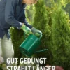 Substral® Thuja-Vital, flüssig, 500 ml