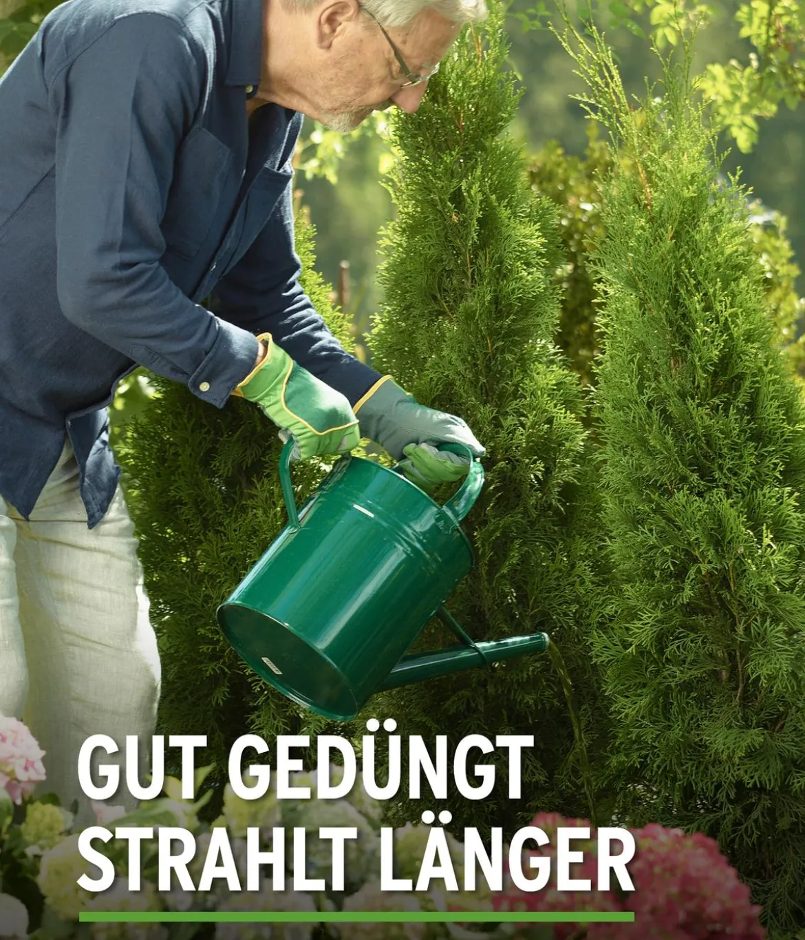 Substral® Thuja-Vital, flüssig, 500 ml