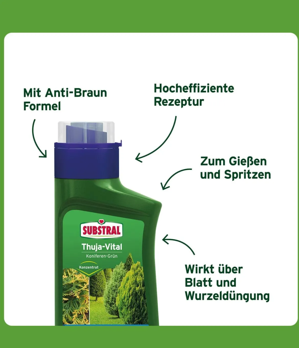 Substral® Thuja-Vital, flüssig, 500 ml