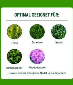 Substral® Thuja-Vital, flüssig, 500 ml