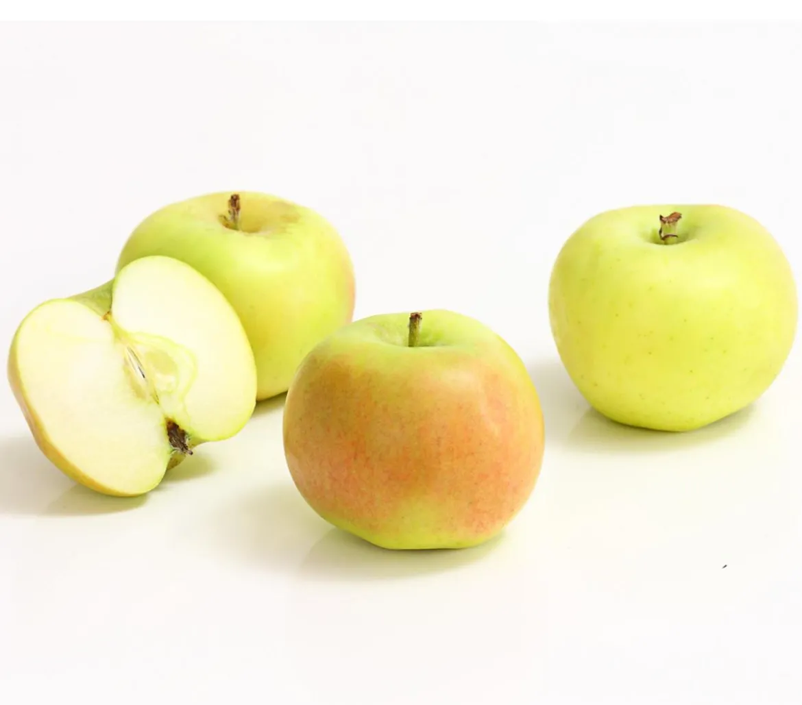 Säulenapfel 'Rhapsodie'